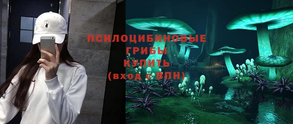 бутират Гусиноозёрск