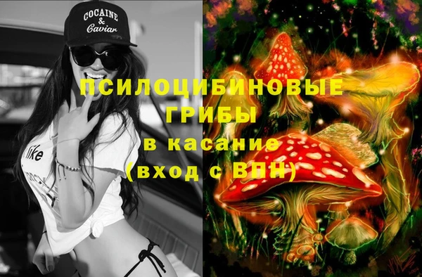 мет Гусев